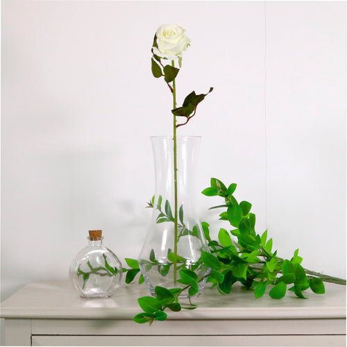 Amira Rose Stem