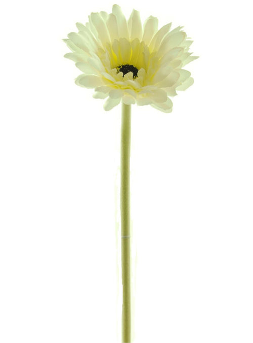 Small Gerbera Stem