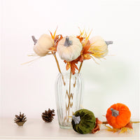 Autumn Wild Velvet Pumpkin (medium)