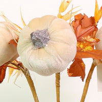 Autumn Wild Velvet Pumpkin (medium)
