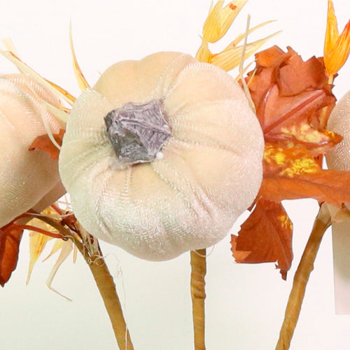 Autumn Wild Velvet Pumpkin (medium)