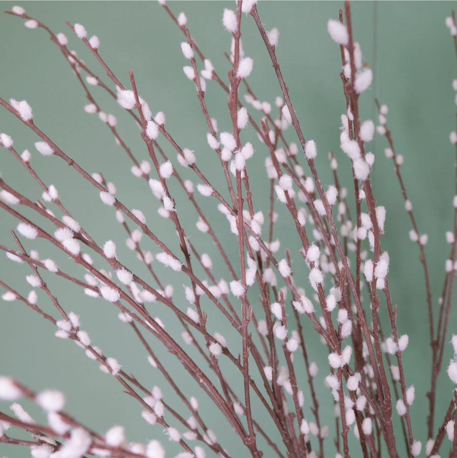 Pussy Willow Spray
