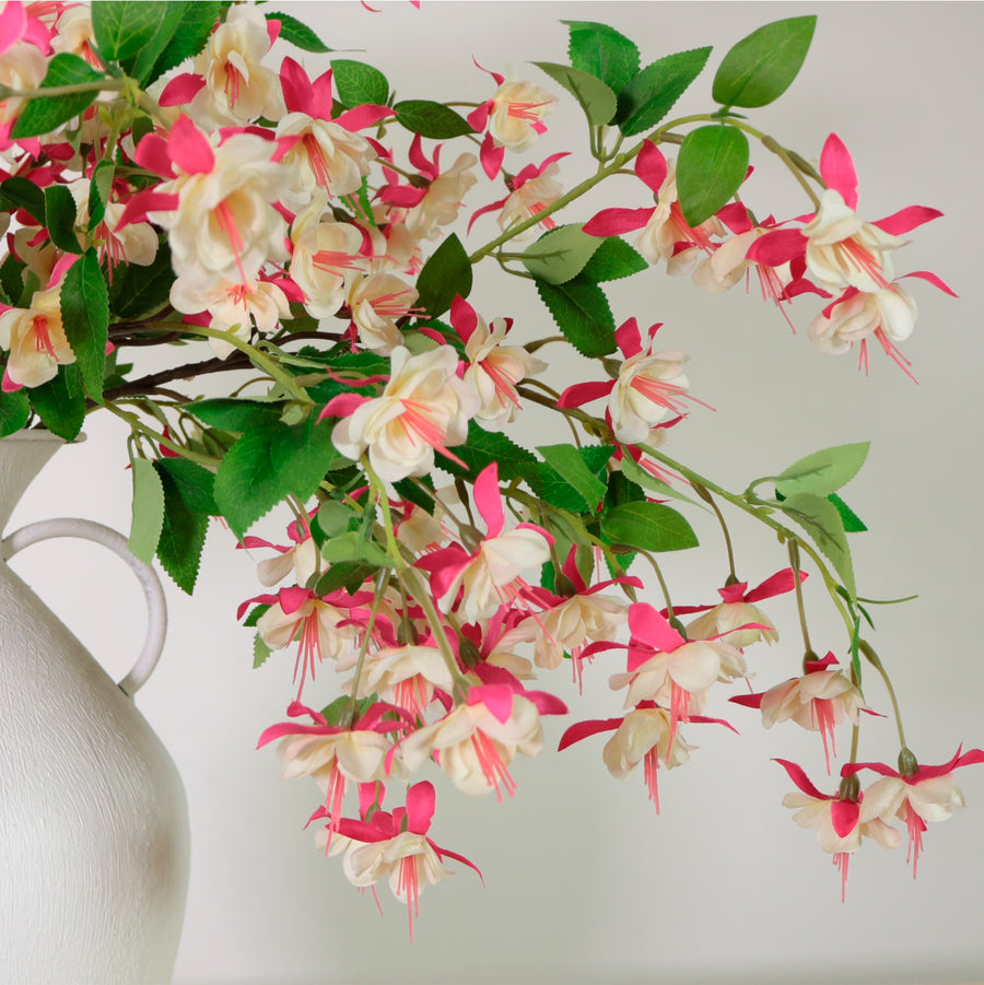 Fuchsia Spray