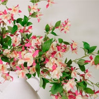 Fuchsia Spray