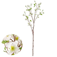 Japanese Quince Spray