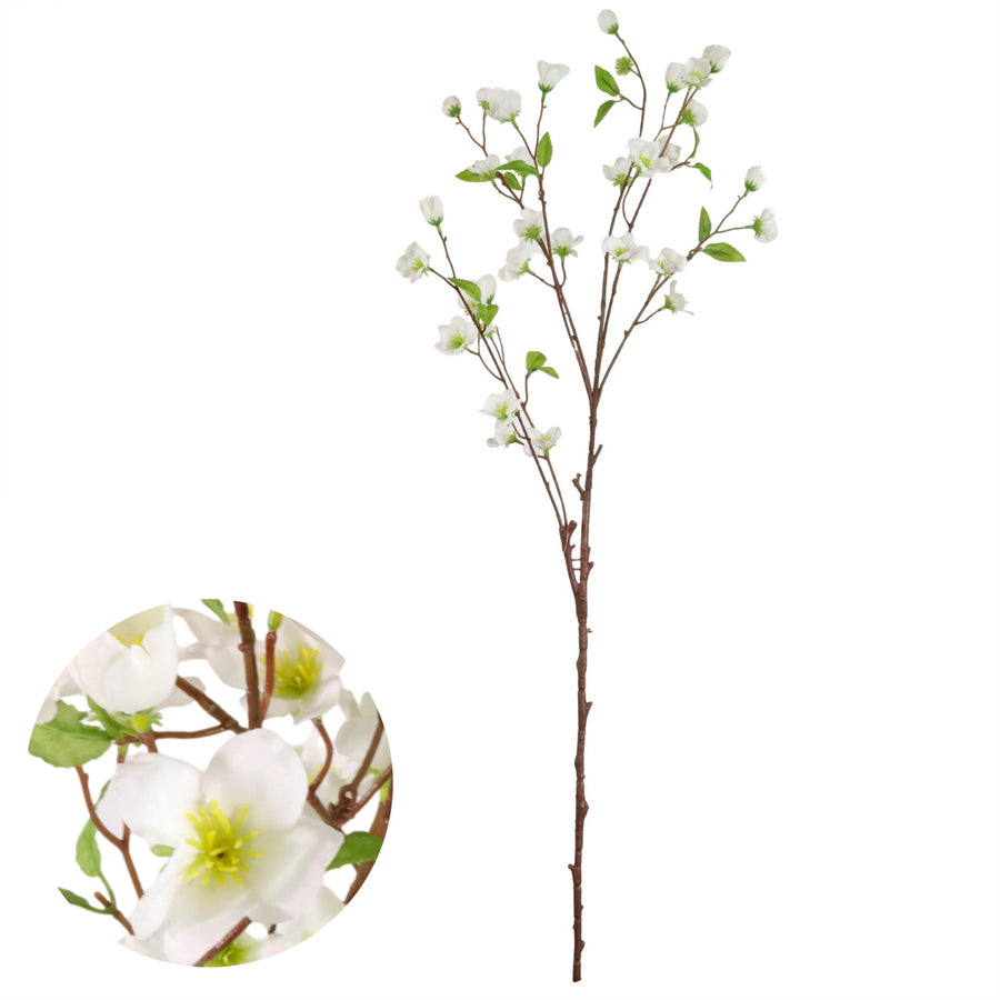 Japanese Quince Spray