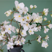 Great Cherry Blossom Spray