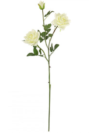 Open Rose Spray
