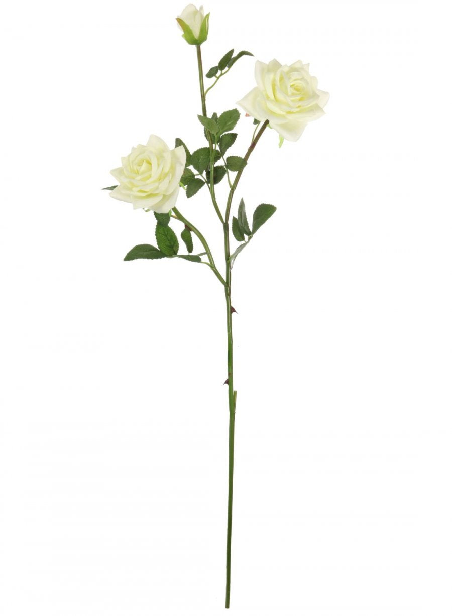 Open Rose Spray