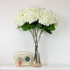 Giant Hydrangea Stem