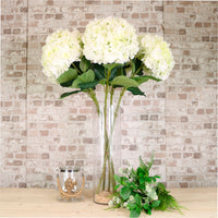 Giant Hydrangea Stem