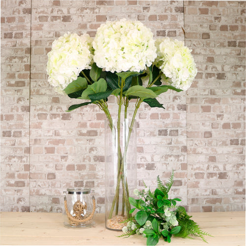 Giant Hydrangea Stem