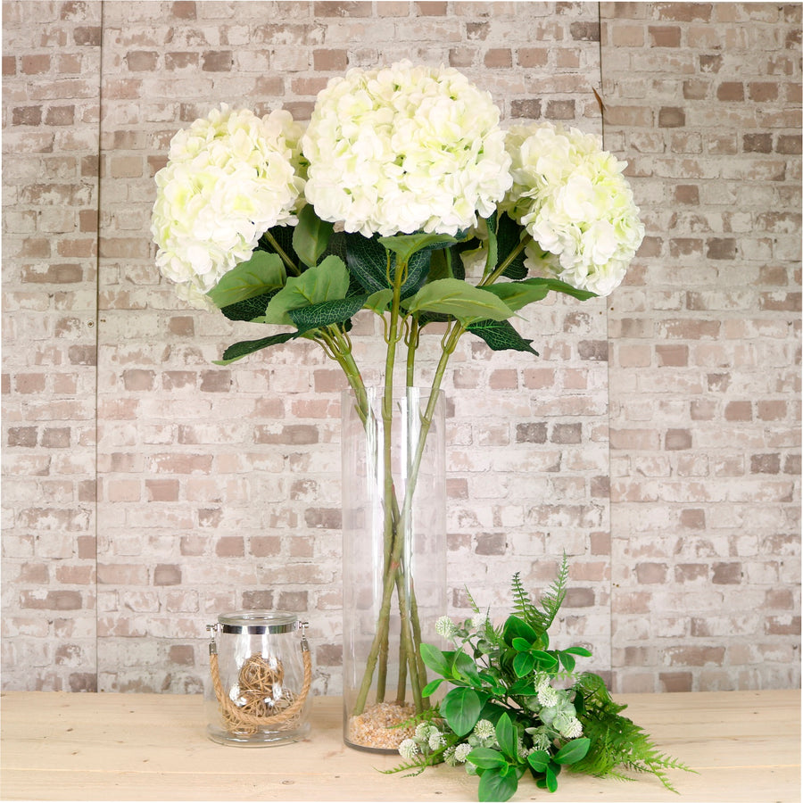 Giant Hydrangea Stem