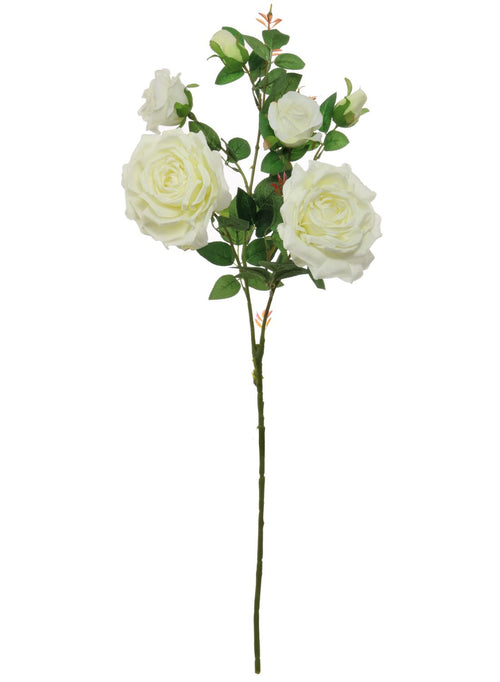 Garden Rose Spray (large)