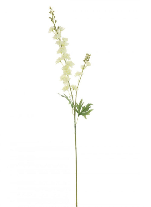 Slim Stock (delphinium)