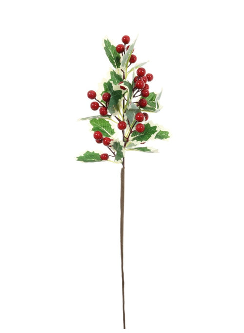 Xmas 62cm Variegated Holly Pic