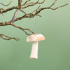 Velvet Hanging Mushroom