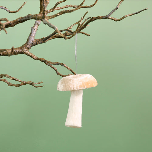 Velvet Hanging Mushroom