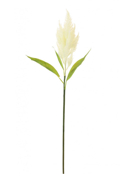 Flocked Astilbe