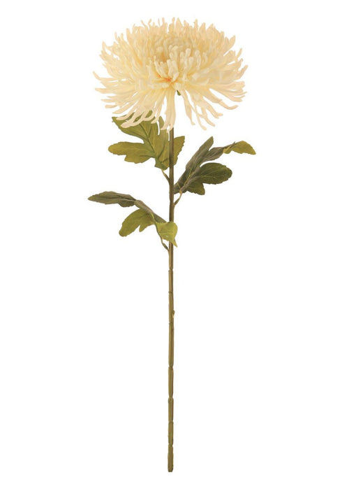 Fuji Mum