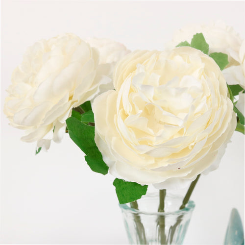 Mini Ranunculus