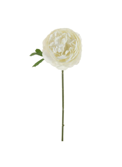 Mini Ranunculus