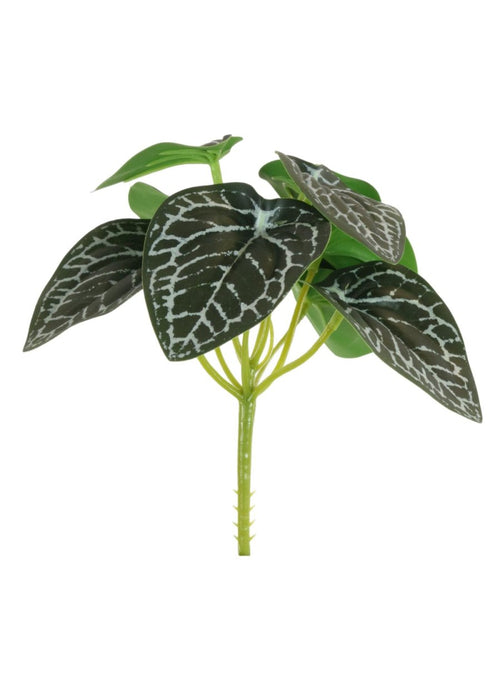 Printed Nerve Plant Bunch (small)