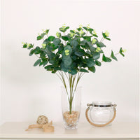 Eucalyptus Bunch (Short Stem 20 sprigs)