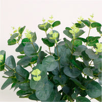 Eucalyptus Bunch (Short Stem 20 sprigs)