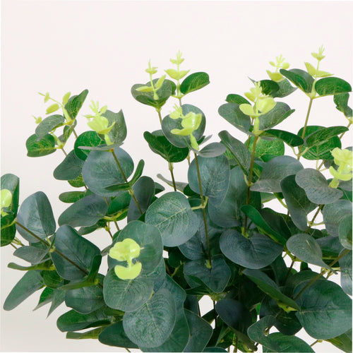 Eucalyptus Bunch (Short Stem)