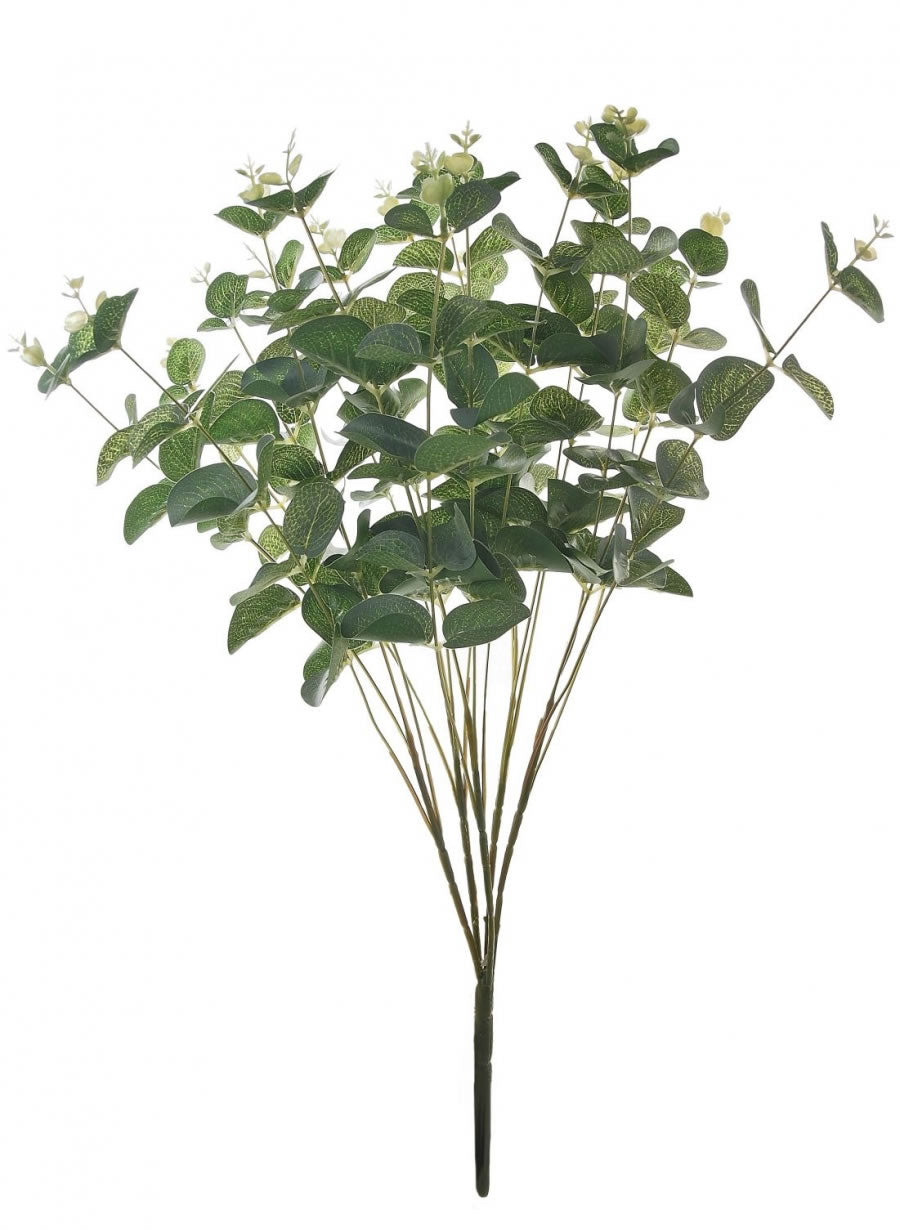 Eucalyptus Bunch (Short Stem)