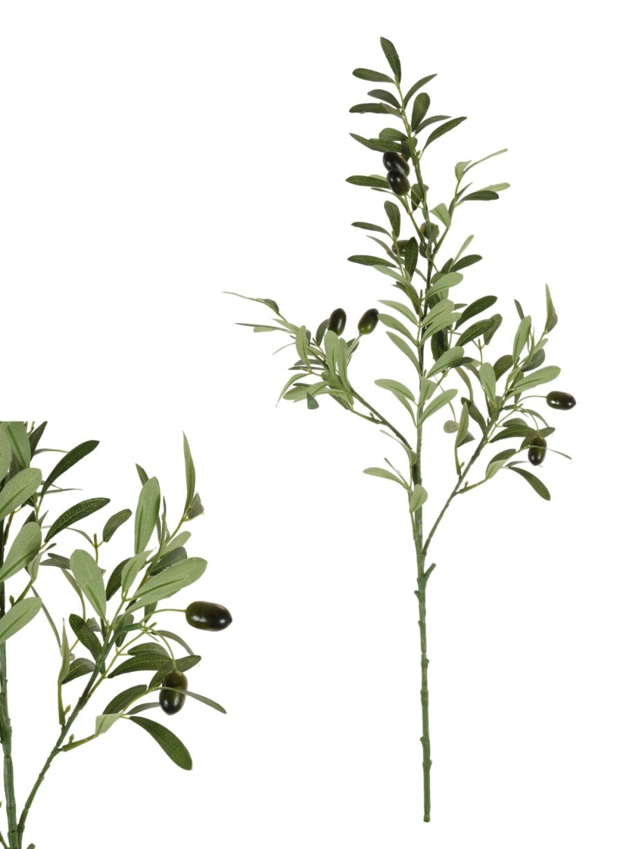 Olive Branch Spray