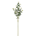 Eucalyptus Spray