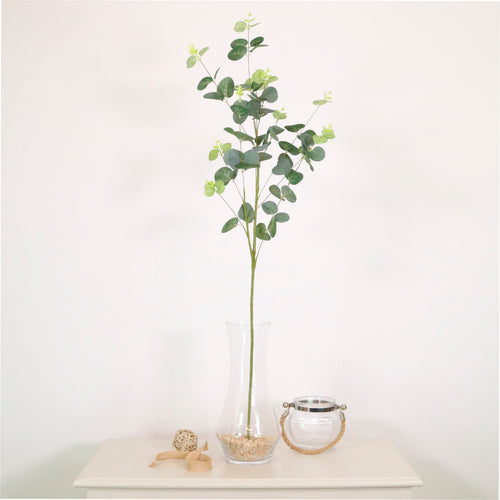 Eucalyptus Spray