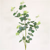 Eucalyptus Spray