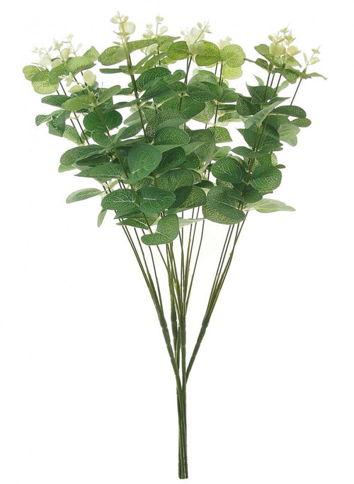 Eucalyptus Bunch (Long Stem)