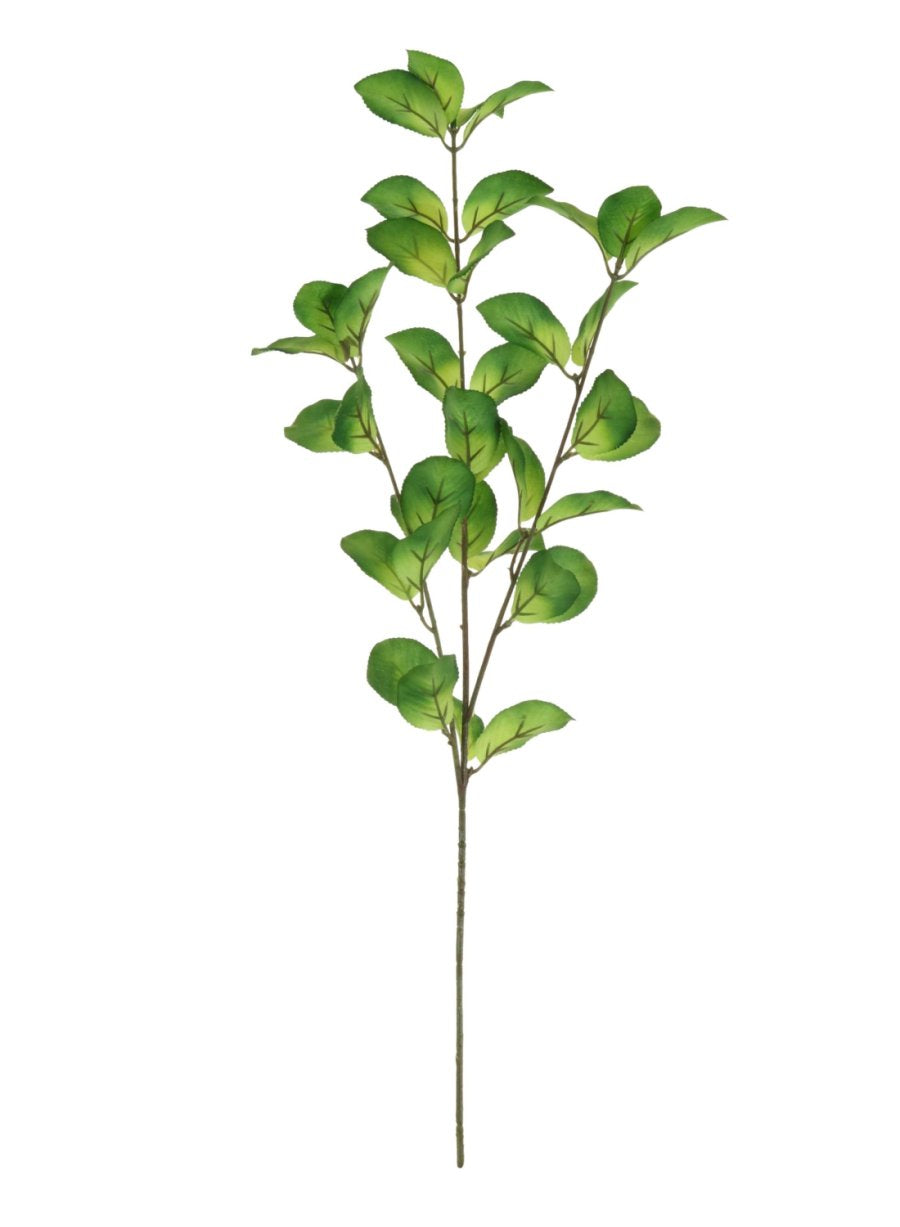 Ezra Leaf Spray