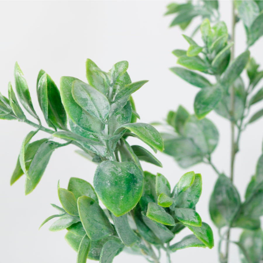 Harri Leaf Spray