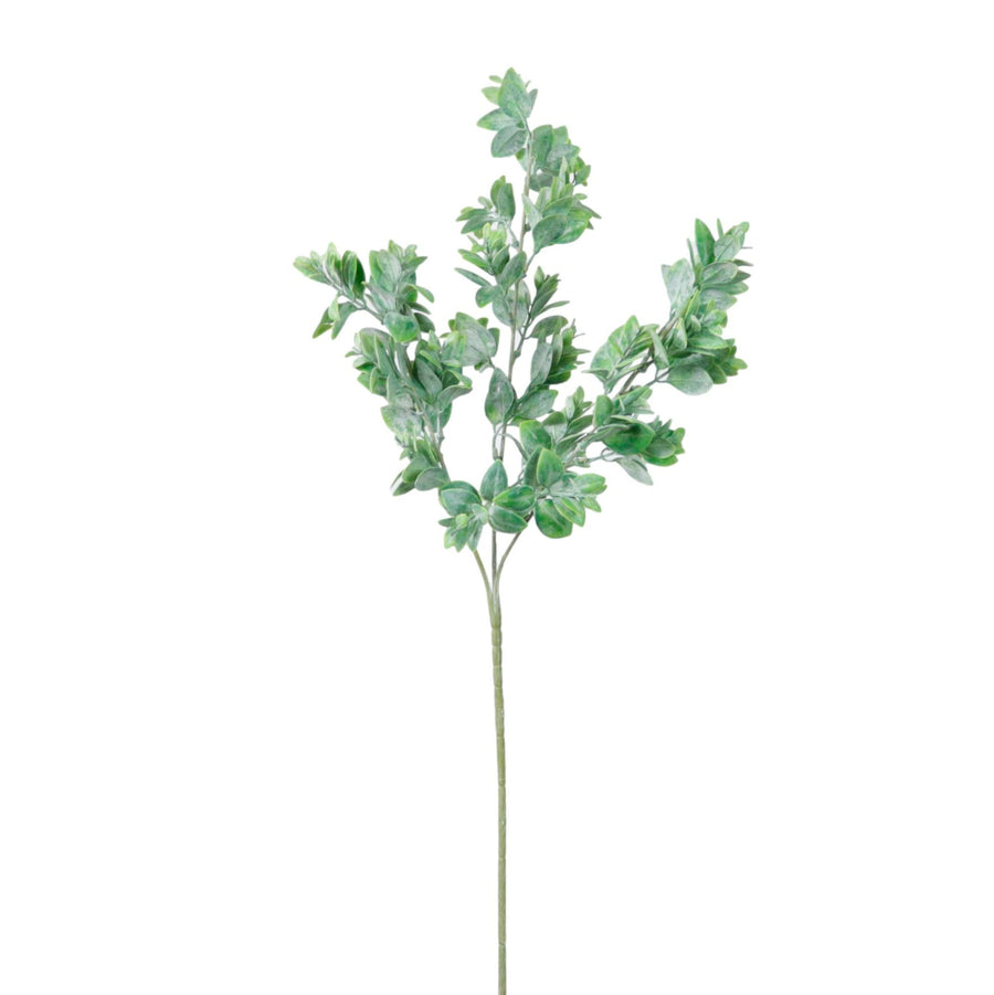 Harri Leaf Spray