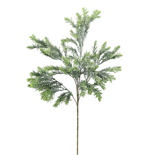 Raven Leaf Spray