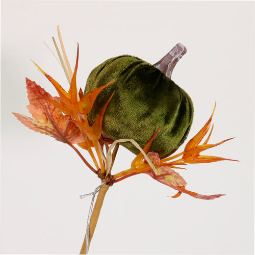 Autumn Wild Velvet Pumpkin (medium)