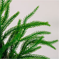 Real Touch Weeping Norfolk Pine Stem