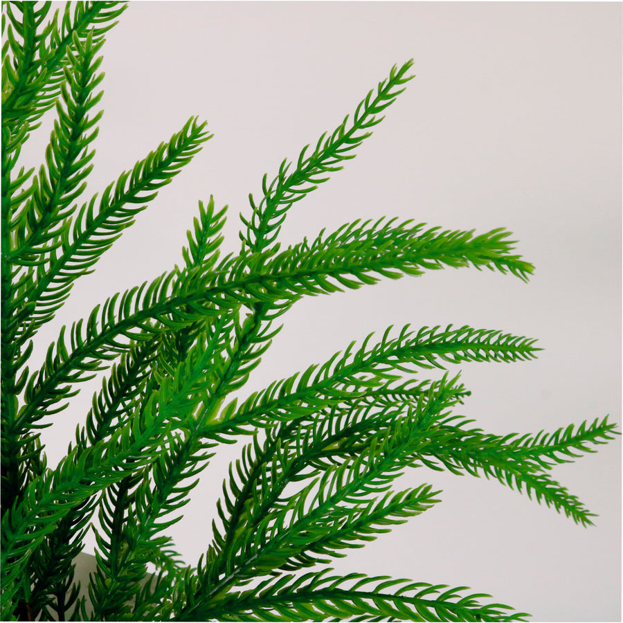 Real Touch Weeping Norfolk Pine Stem