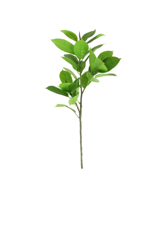 Rubber Leaf Spray (large)