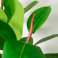 Rubber Leaf Spray (105cm Large)