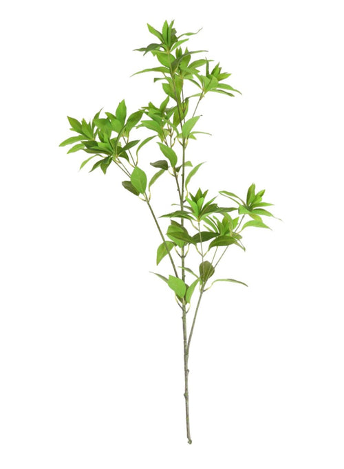 Japonica Spray (large)