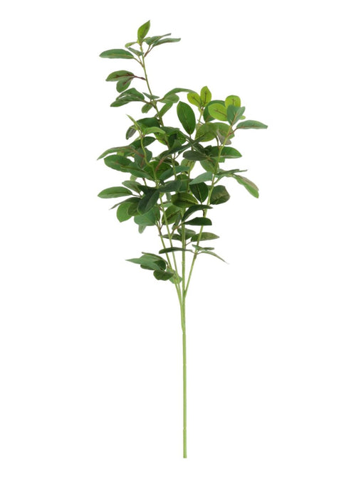 Printed Mountain Laurel Spray