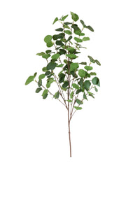 Silver Dollar Eucalyptus Spray