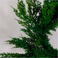 Real Touch Cedar Pine Wreath 62cm