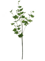 Ivy Spray (medium)